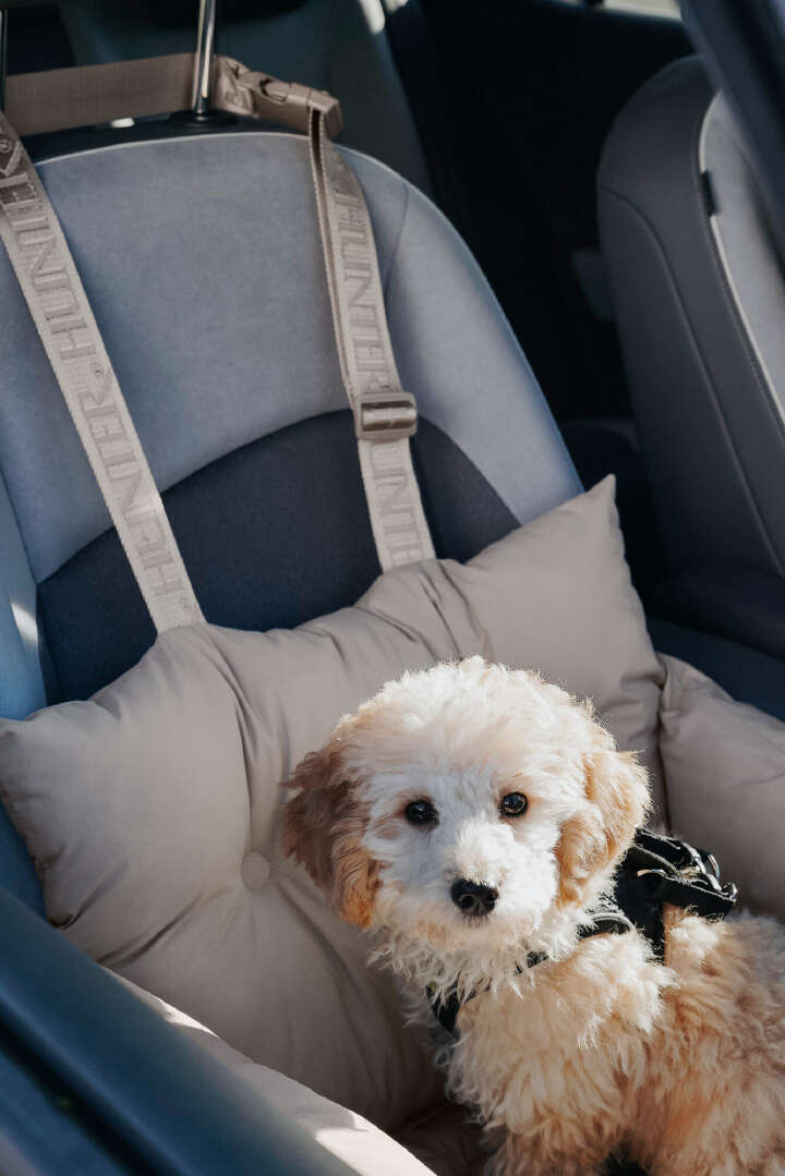 HUNTER Autositz Seoul für Hunde